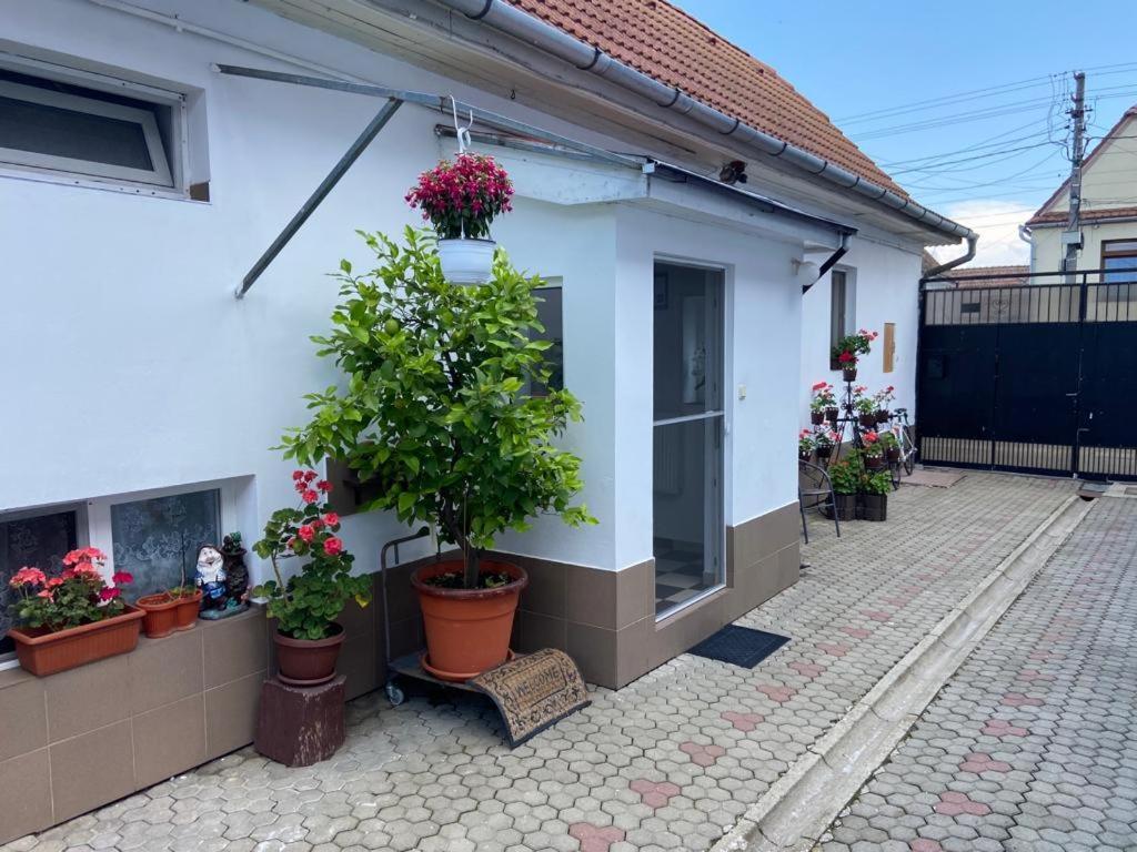 Brick Airport Cristian (Sibiu) Exterior foto